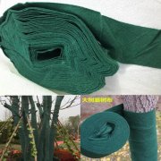 植物绷带裹树布有什么用途!