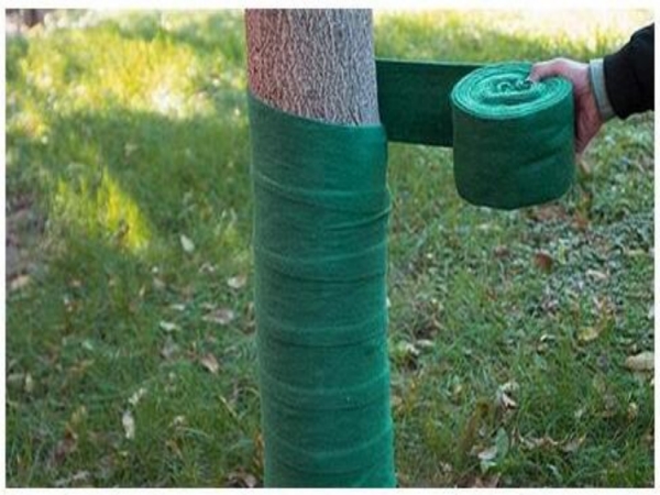 缠树布对树木保温保湿的效果怎么样？