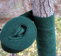 天津树木裹树布生产厂家-绿色缠树带