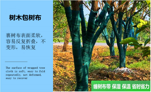 河北省哪家生产的缠树带保温质量好